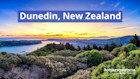 Dunedin - Kota Budaya & Kota Pelajar Selandia Baru