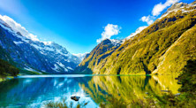 10 most popular undergraduate and postgraduate courses in New Zealand
