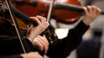 Hands of a girl playing the violin