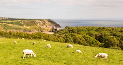 Three Cliffs Bay, Swansea