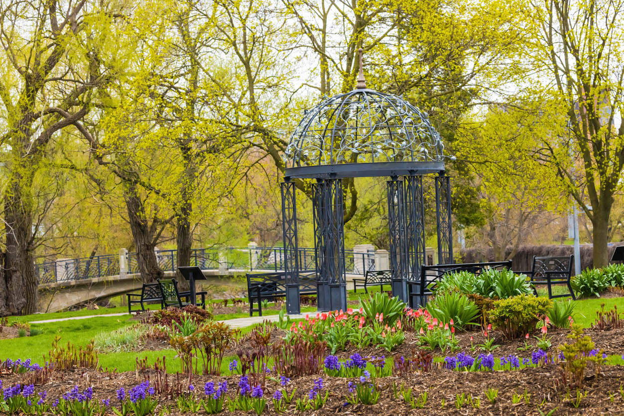 Oshawa garden