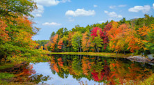Colorful foliage tree reflections in calm pond water on a beautiful autumn day in New England