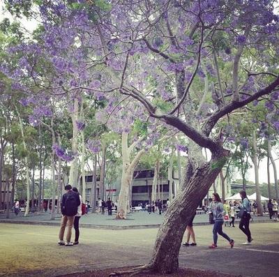 Macquarie University di Australia - Hotcourses Indonesia