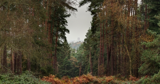guildford
