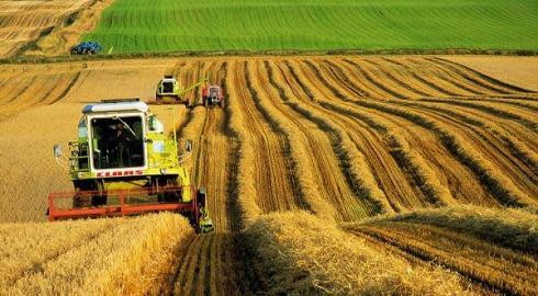 A degree in agriculture can yield plenty!