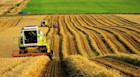 A degree in agriculture can yield plenty!