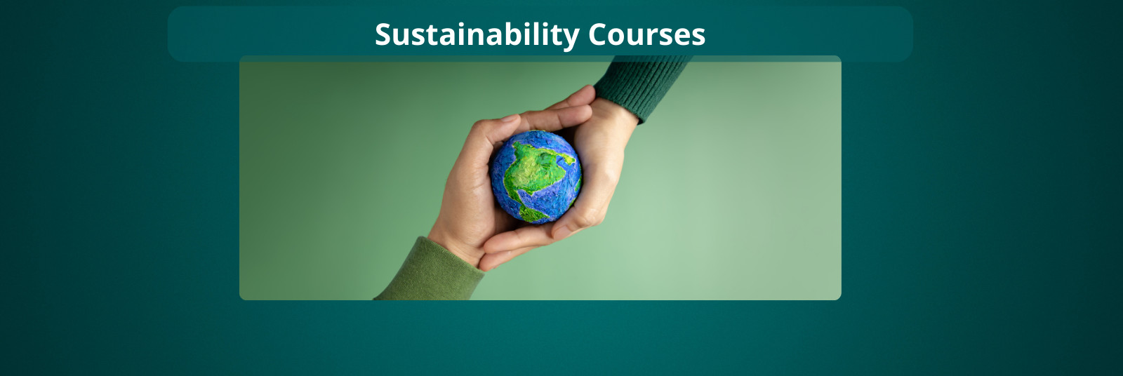 masters in sustainability