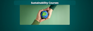 masters in sustainability