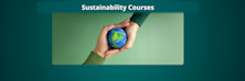 Sustainability courses: Best universities to study abroad