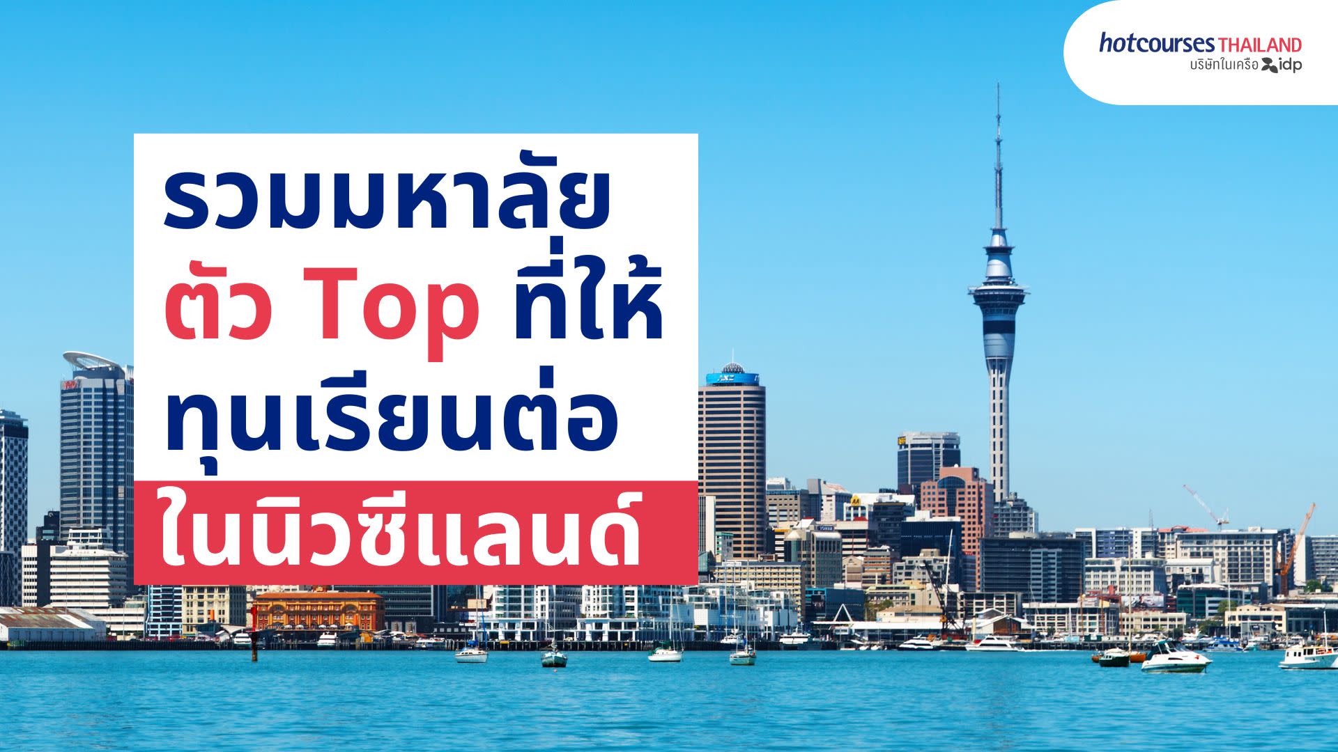 scholarships from top universities in new zealand