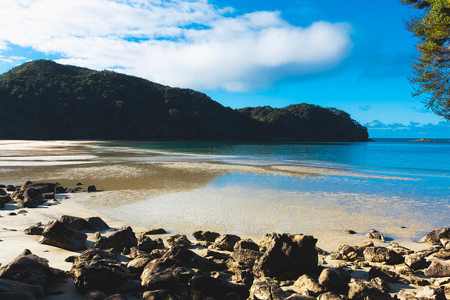 Abel Tasma