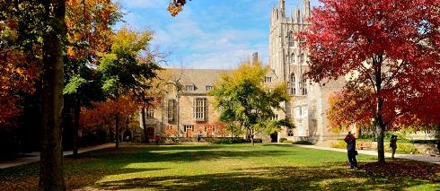 yale üniversitesi
