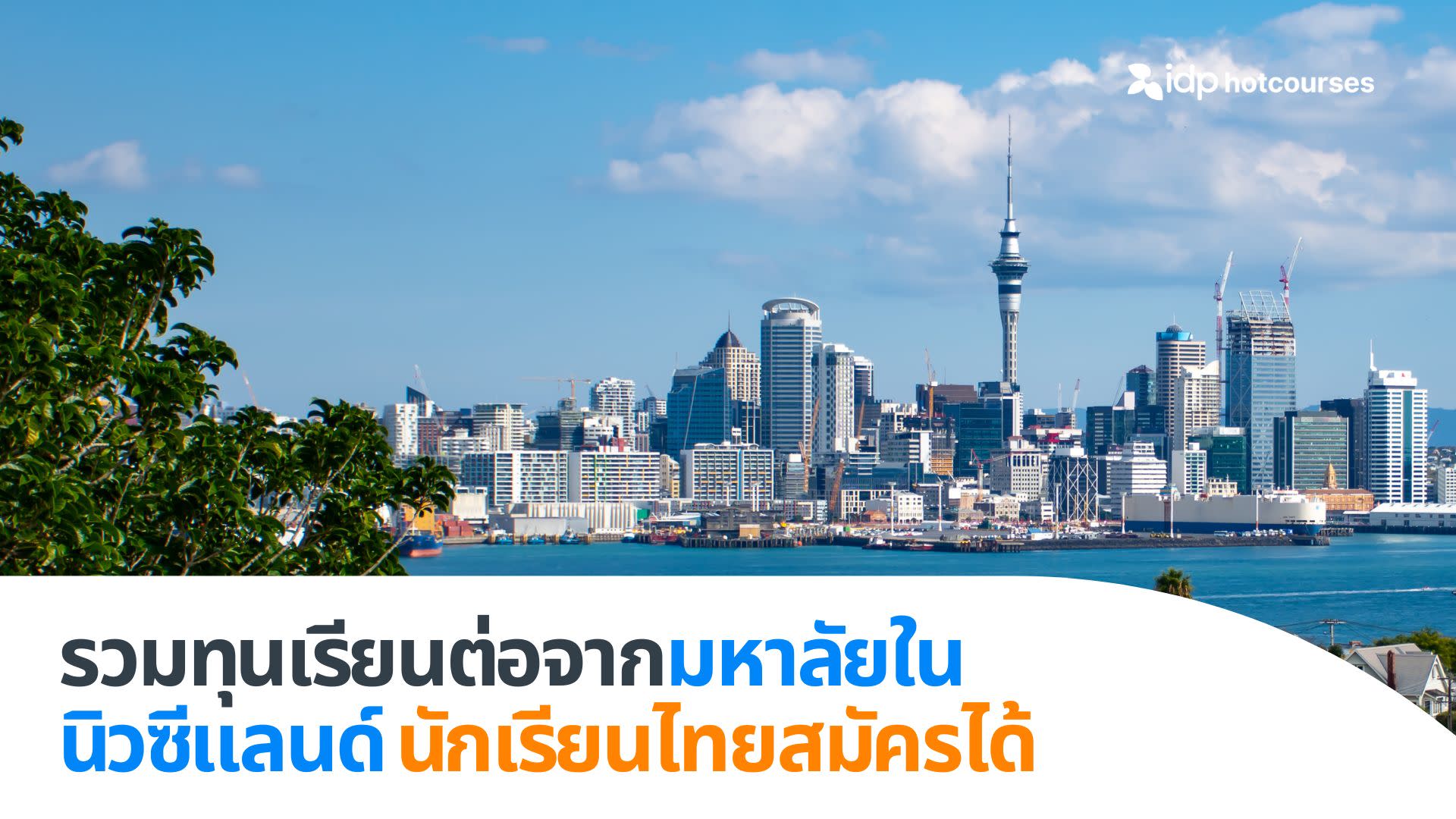 automatic scholarships from universities in new zealand