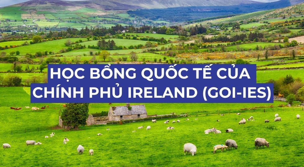 Học bổng Chính phủ Ireland (GOI-IES): Mọi điều bạn cần biết
