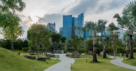 الدراسة في سنغافورة