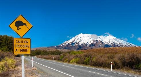 12 dieu thu vi ve cuoc song o New Zealand