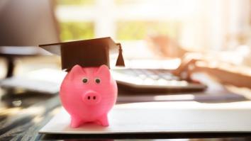 Close-up of pink piggy bank with graduation cap