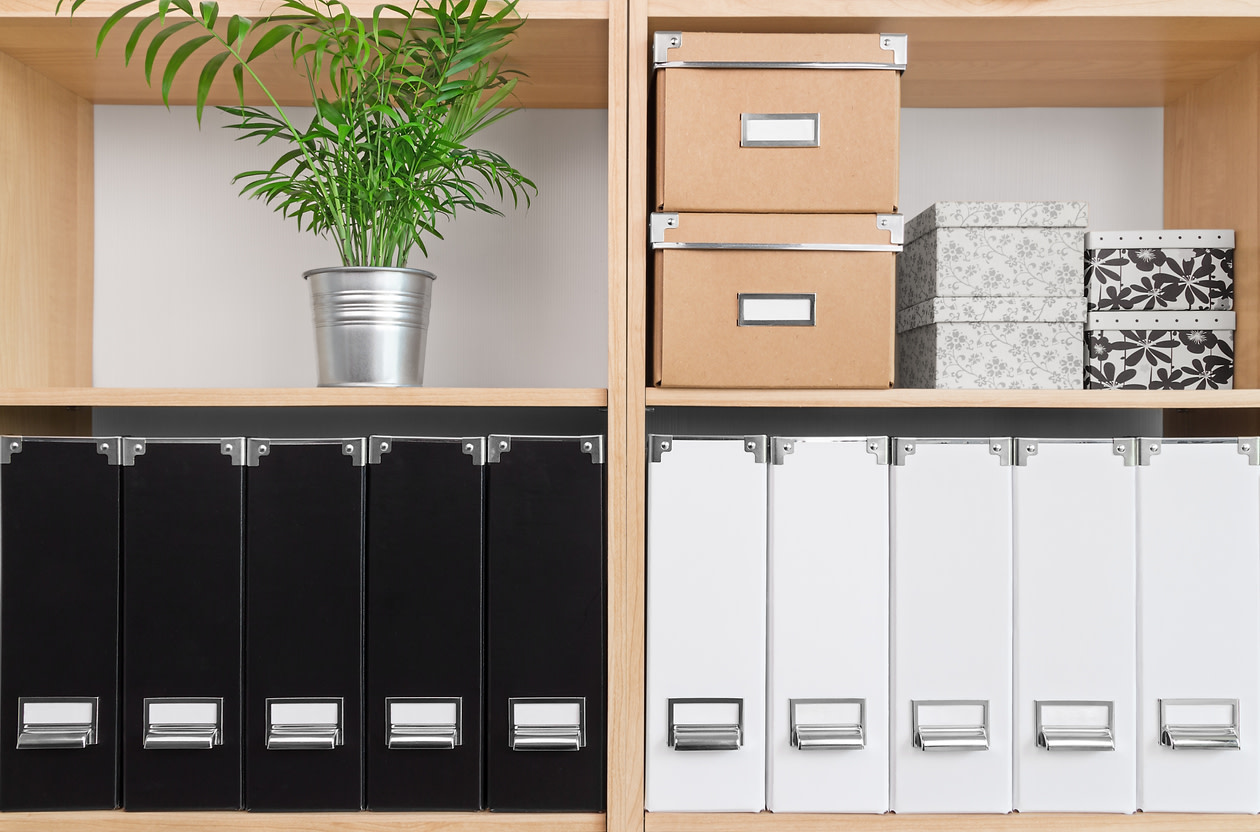 Four adjacent shelves: one containing a potted plant, one containing six boxes, and two with five files.
