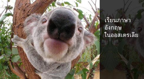 share image