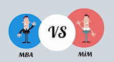 Should I study an MBA or MIM programme abroad?