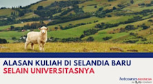 ALASAN KULIAH DI SELANDIA BARU SELAIN UNIVERSITAS YANG BERGENGSI