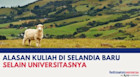 Sebelum Berangkat Kuliah, Lihat Alasan Kuliah di Selandia Baru Selain Universitas yang Bergengsi