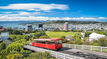 Tự động hóa, sản xuất và xây dựng là 3 ngành nên học ở New Zealand