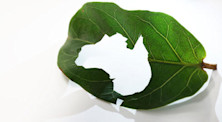 Australia's top green universities