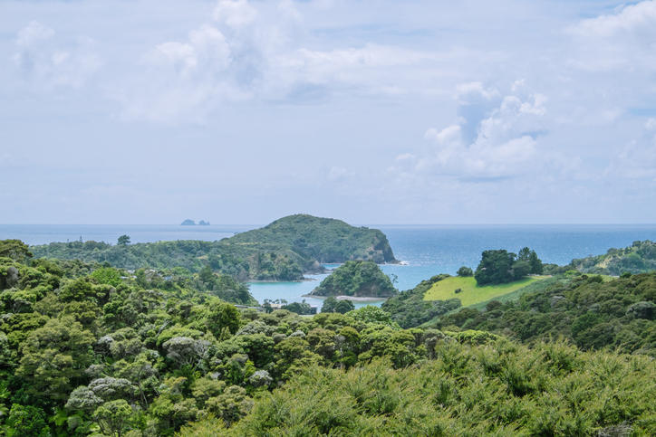 View over green bush landscape to Tutukaka Harbour and The Poor Knights Islands, Northland, New Zealand, NZ
