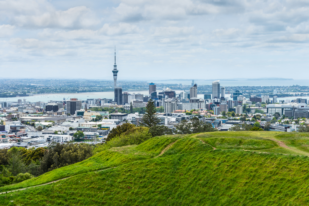 The Auckland city skyline, seen from a grassy green hill. The Sky Tower rises highest over Waitematā Harbour