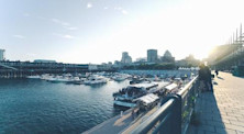 du hoc montreal