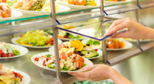 Catered or self-catered accommodation