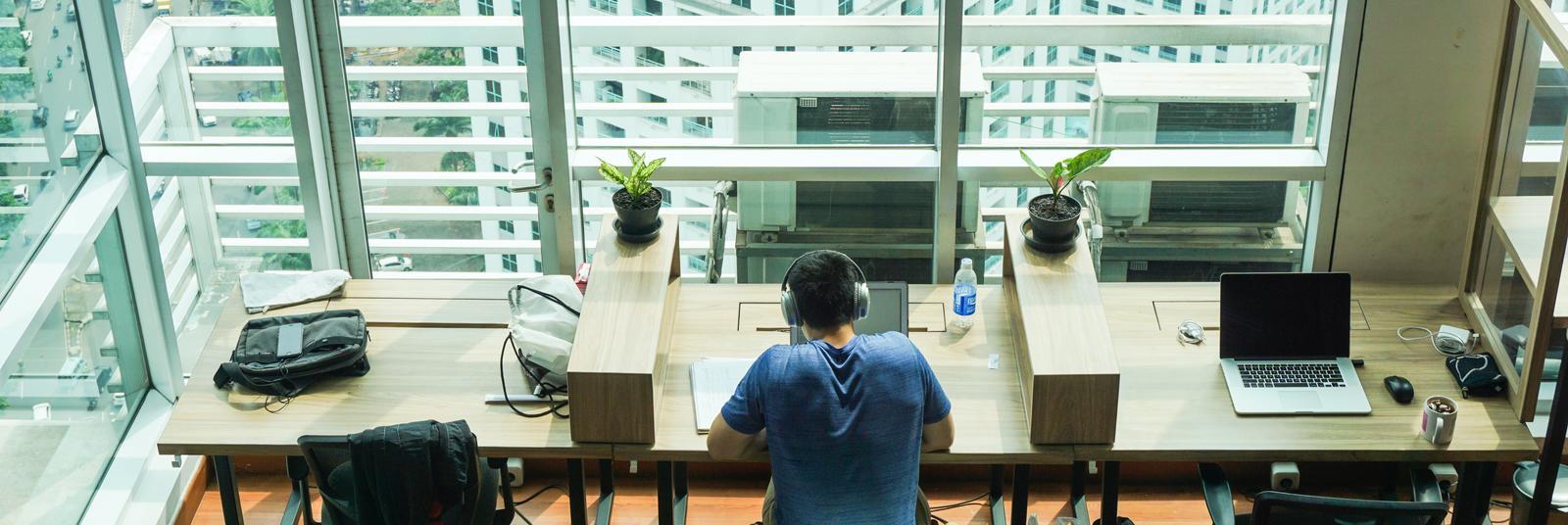 What are the options available for international students after graduation?