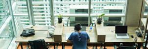 What are the options available for international students after graduation?