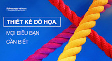 Ngành Thiết Kế Đồ Họa: Học gì, ở đâu và cơ hội nghề nghiệp?