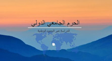 ما هي فروع الجامعات الدولية؟