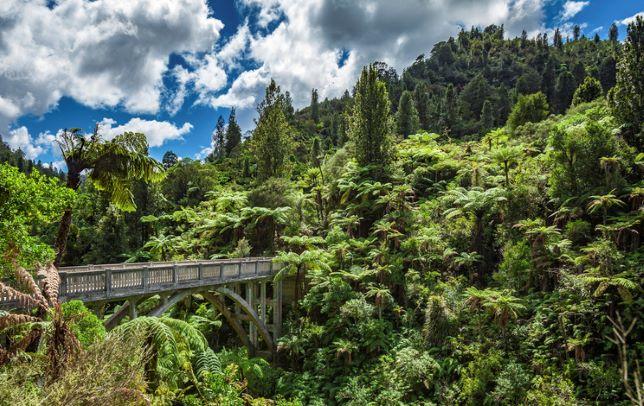 Bridge of Nowhere in the Wanganui area, North Island, New Zealand