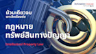 IP Law เจาะลึกเรียนต่อกฎหมายทรัพย์สินทางปัญญา วิชา มหาวิทยาลัยระดับโลก และโอกาสทำงานในต่างประเทศ