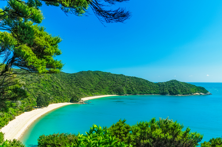 A picture containing tree, water, nature, outdoor Description automatically generated