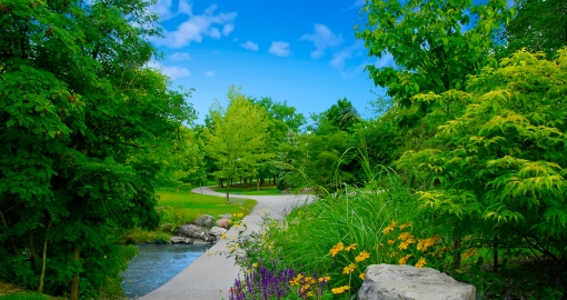 Brampton park