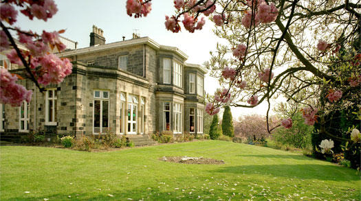 universitas di sheffield