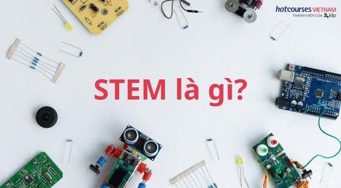 stem nghĩa là gì