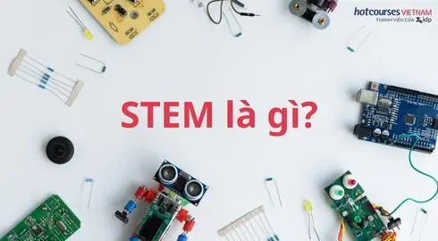 Những ngành học nào thuộc khối STEM? 
