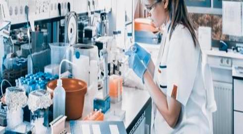 Bekerja Setelah Lulus di China