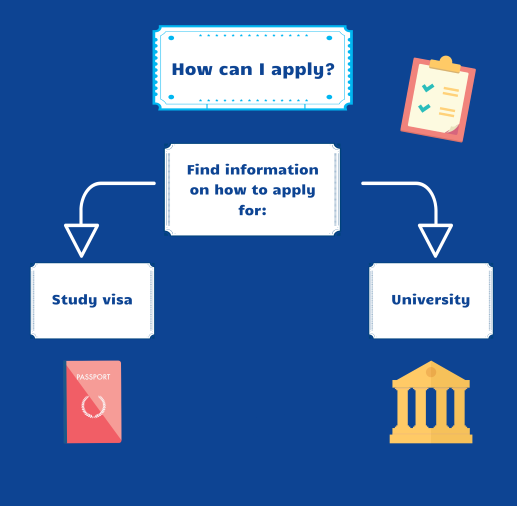 Infographic question ‘How can I apply?. Box below reads: Find information on now to apply for: Two arrows each one leading to: Study visa and University. 