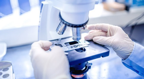 A scientist looking into a microscope.
