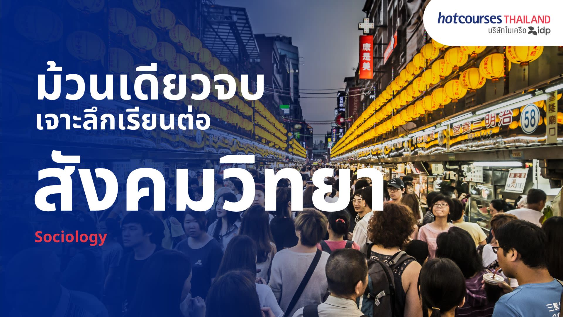 all about studying sociology degree