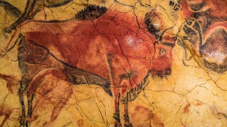 Detail of the paintings of the cave of Altamira