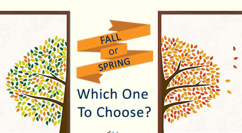fall or spring semester abroad