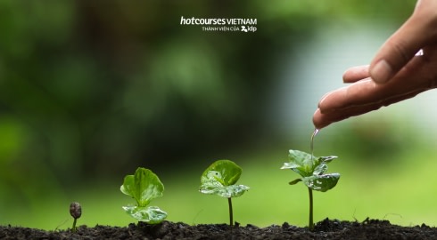 ngành bảo vệ thực vật